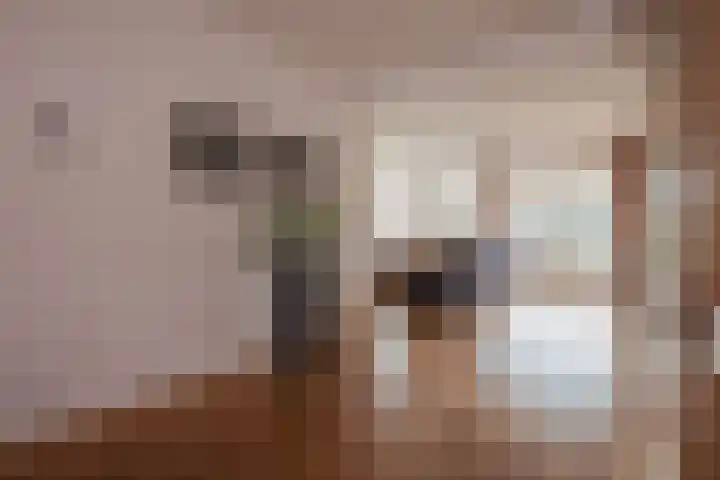 Esdoornlaan 1 a Haelen thumbnail 12