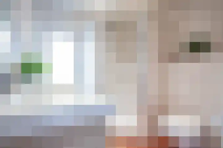 Esdoornlaan 1 a Haelen thumbnail 18
