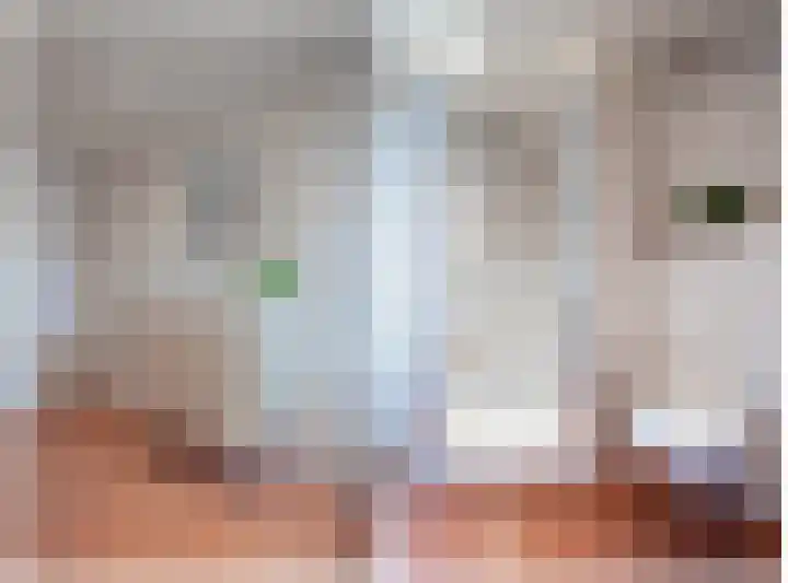 Esdoornlaan 1 a Haelen thumbnail 19
