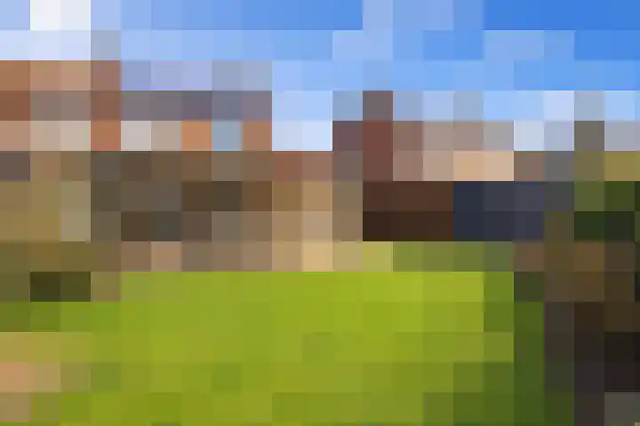 Esdoornlaan 1 a Haelen foto 2
