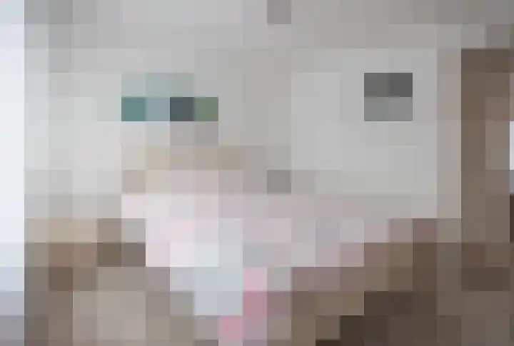 Esdoornlaan 1 a Haelen thumbnail 22