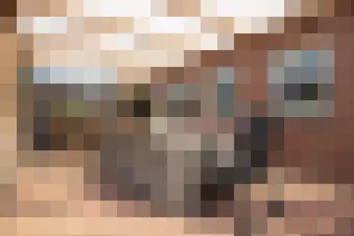 Esdoornlaan 1 a Haelen thumbnail 26