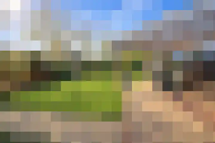 Esdoornlaan 1 a Haelen foto 3