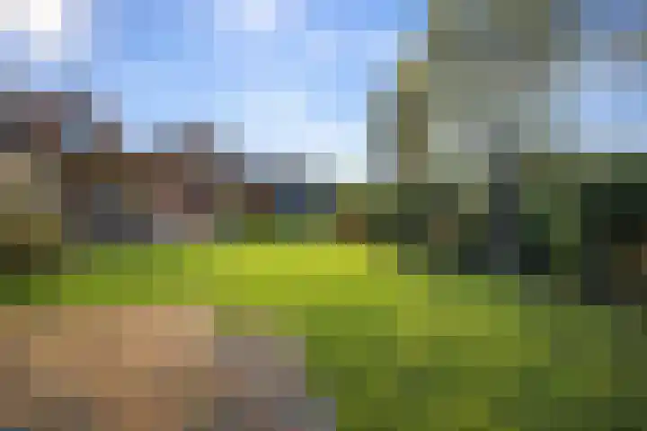 Esdoornlaan 1 a Haelen thumbnail 5