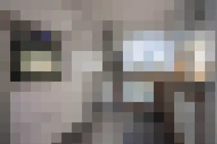 Esdoornlaan 1 a Haelen thumbnail 6