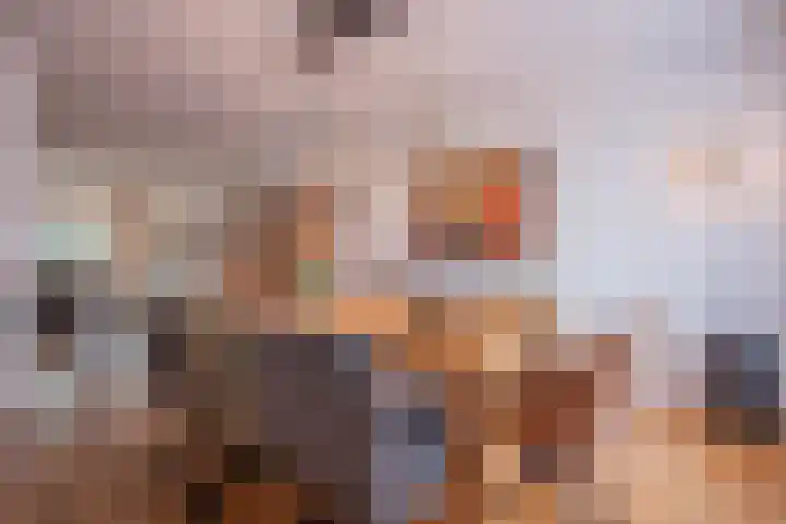 Esdoornlaan 1 a Haelen thumbnail 9