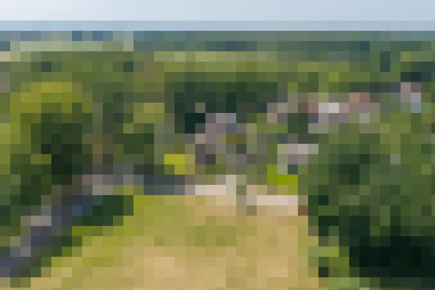 Esdoornlaan 1 Gorssel thumbnail 12