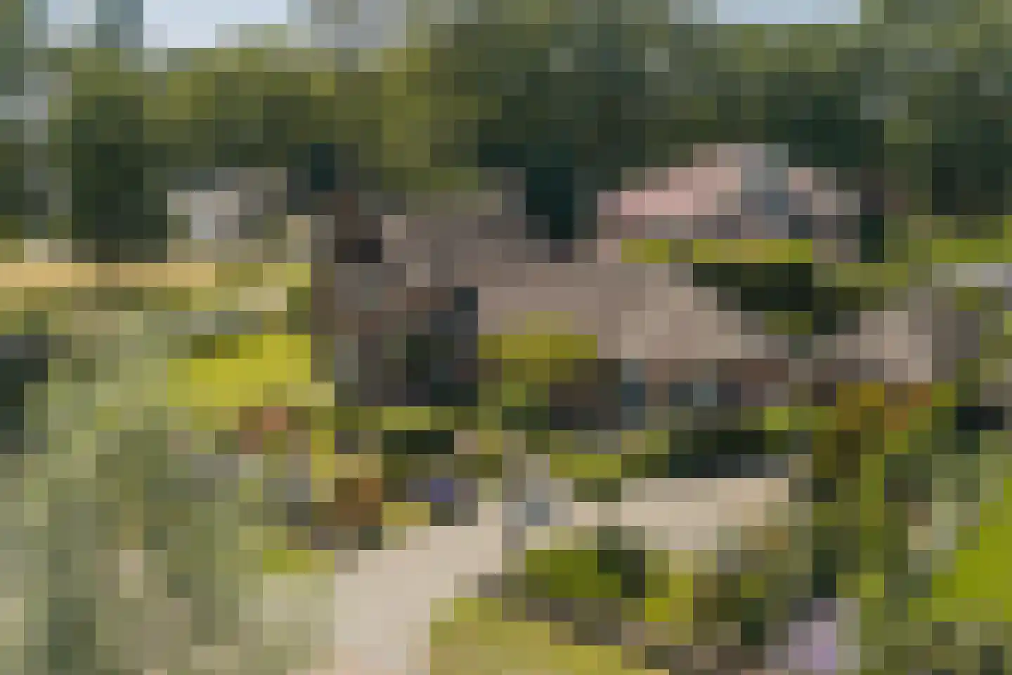 Esdoornlaan 1 Gorssel thumbnail 13
