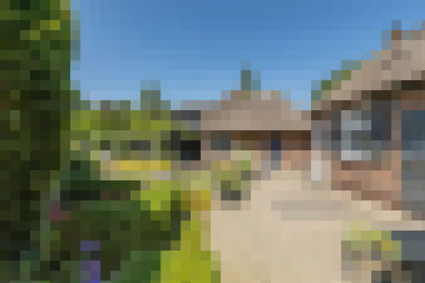 Esdoornlaan 1 Gorssel thumbnail 15
