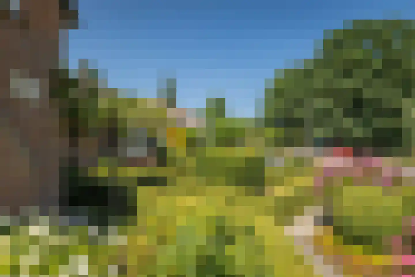 Esdoornlaan 1 Gorssel thumbnail 17