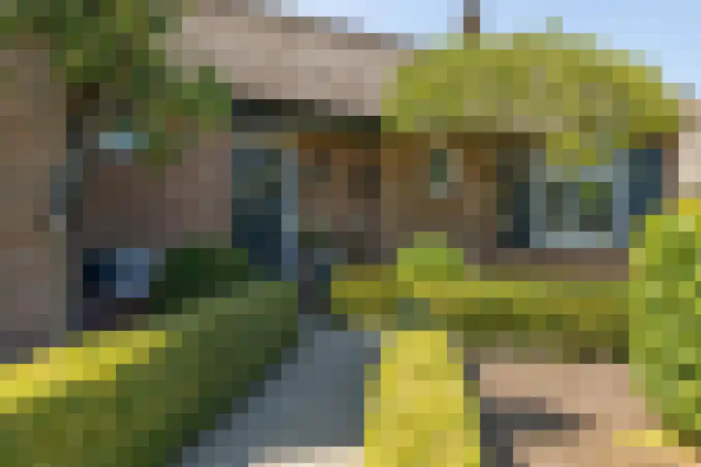 Esdoornlaan 1 Gorssel thumbnail 19