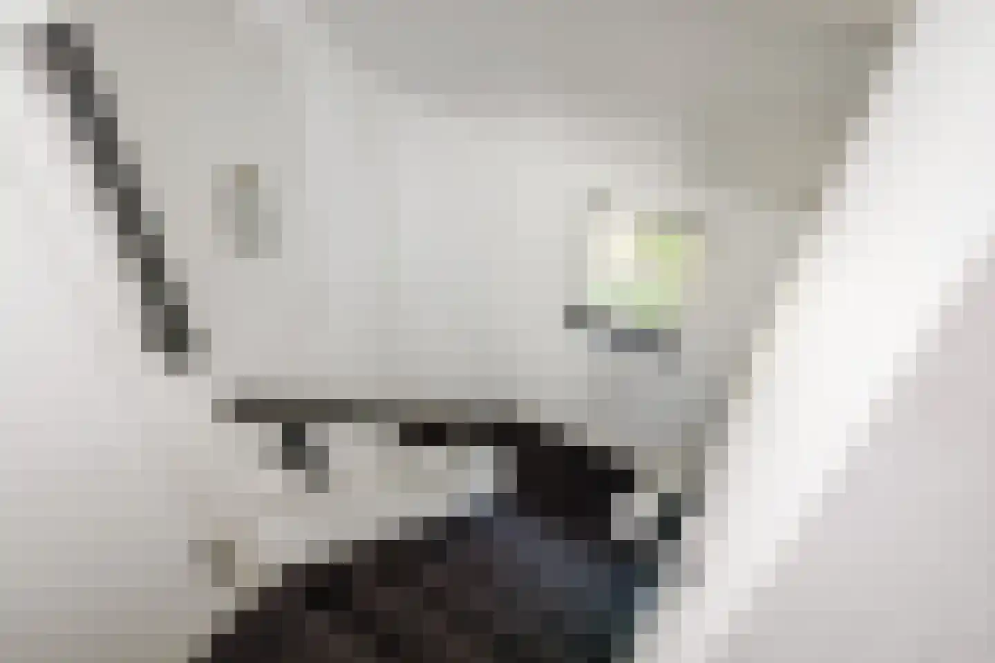 Esdoornlaan 1 Gorssel thumbnail 32