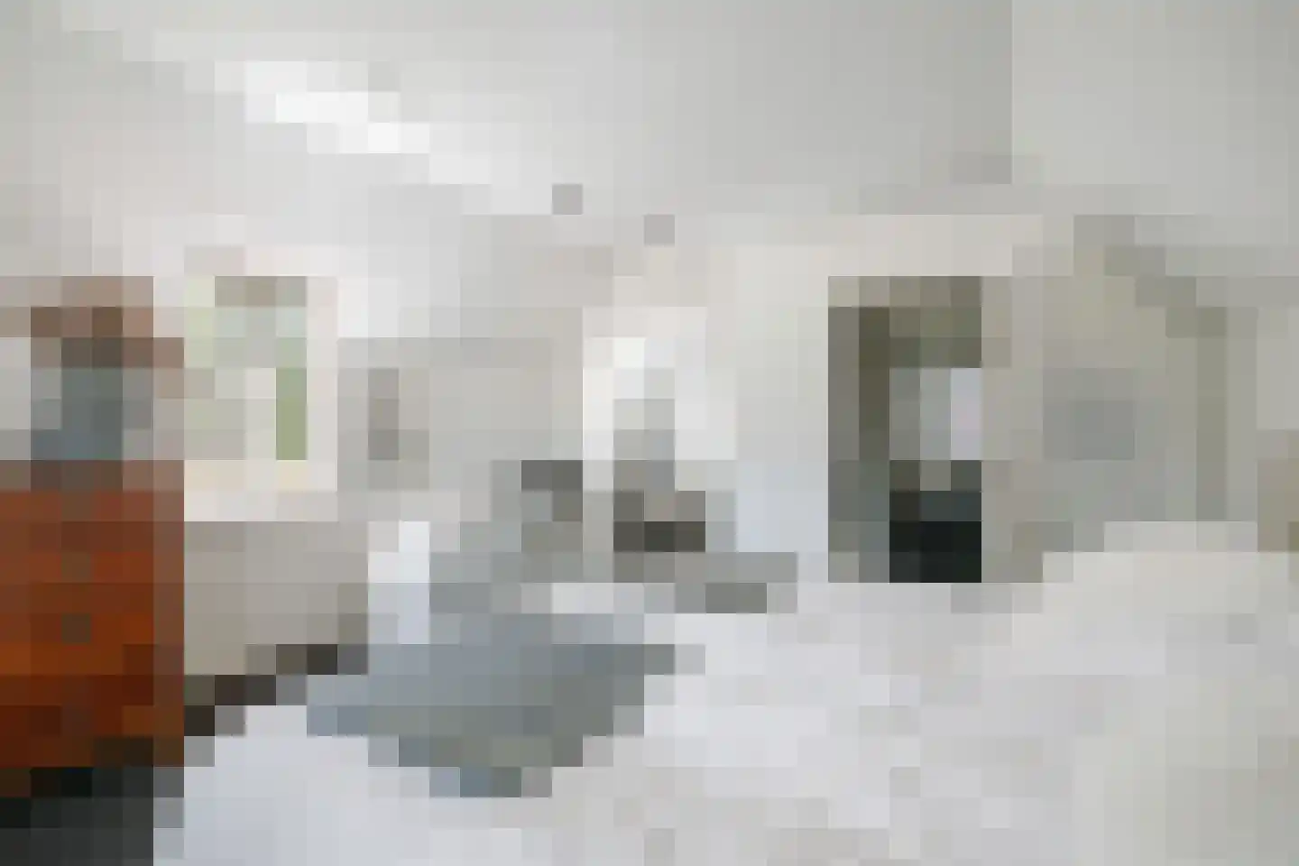 Esdoornlaan 1 Gorssel thumbnail 34
