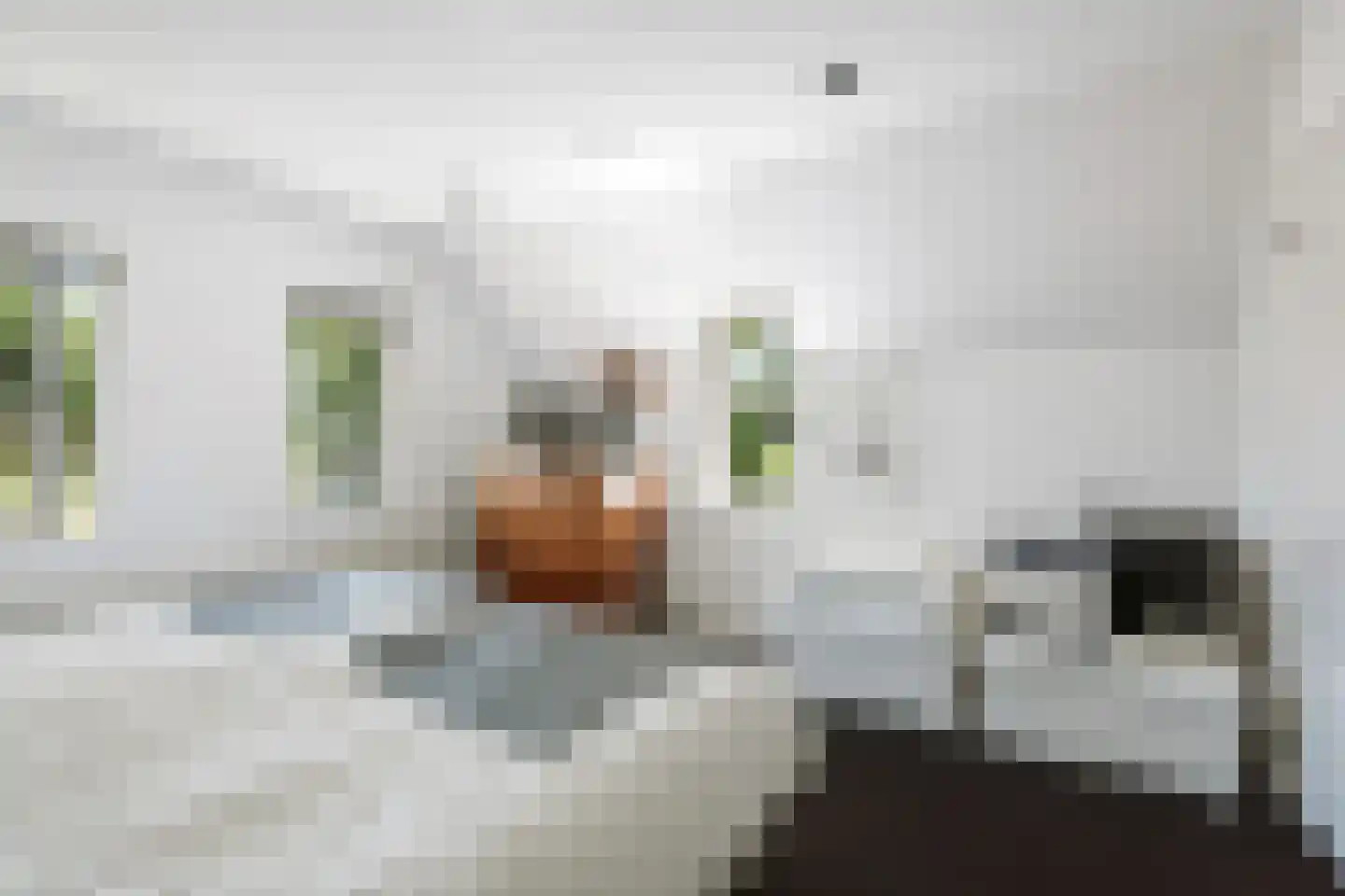 Esdoornlaan 1 Gorssel thumbnail 37