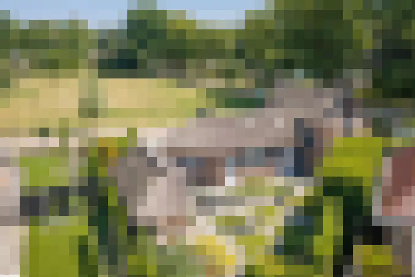 Esdoornlaan 1 Gorssel thumbnail 4