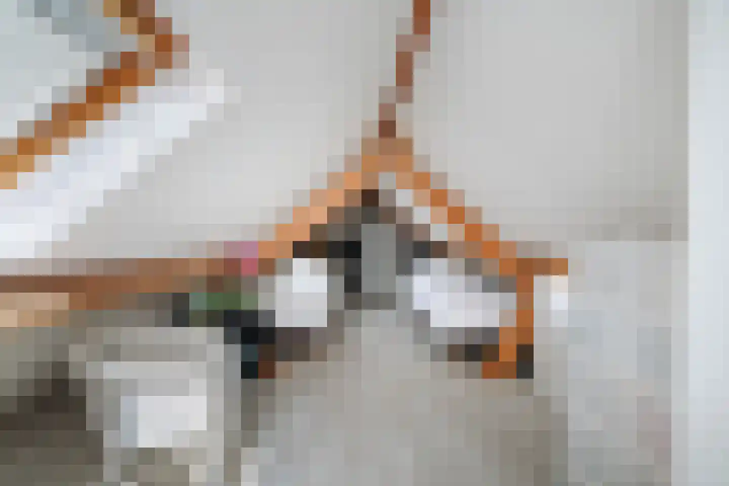 Esdoornlaan 1 Gorssel thumbnail 42