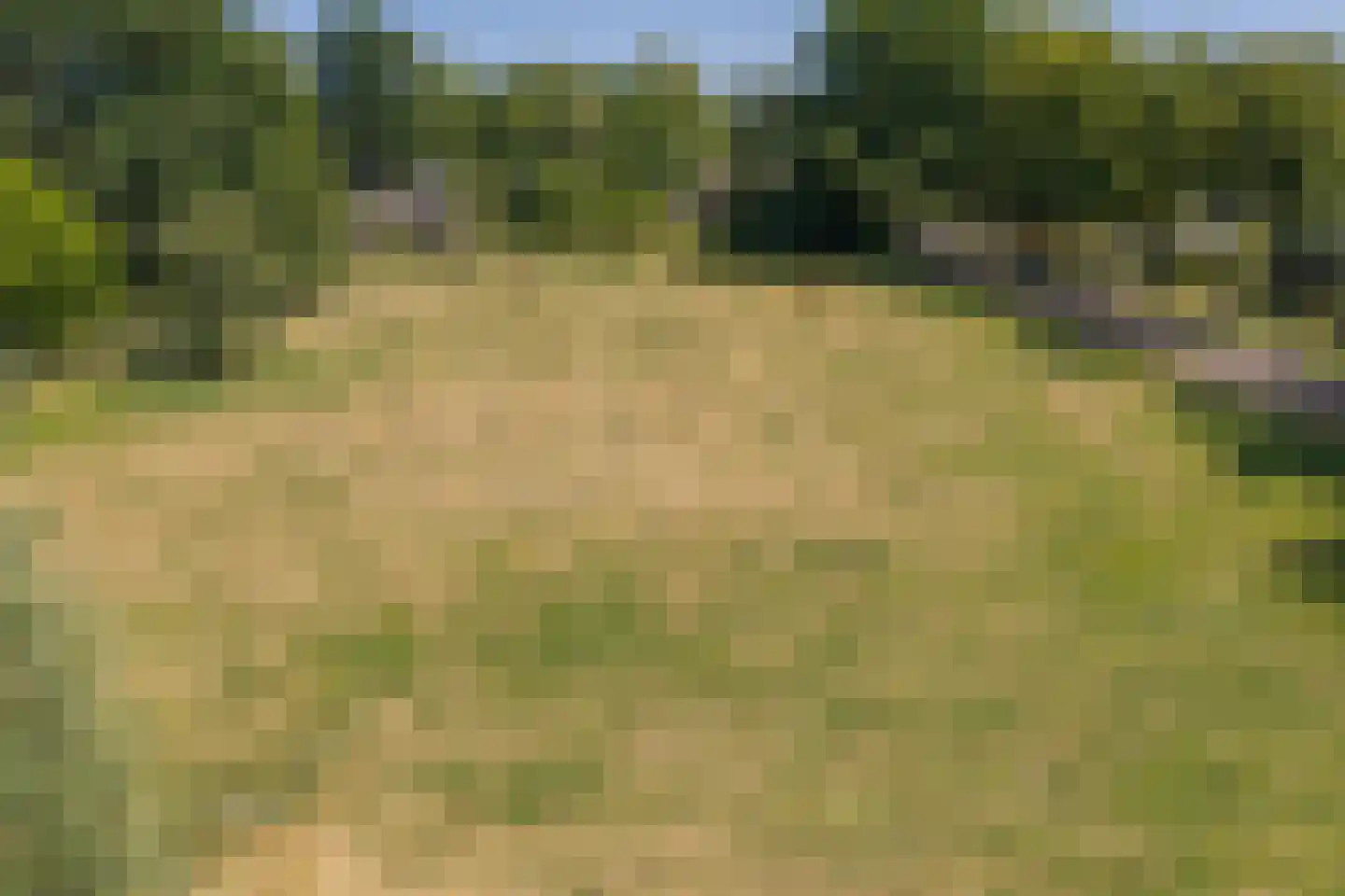 Esdoornlaan 1 Gorssel thumbnail 51