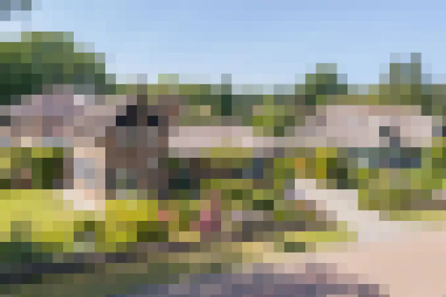 Esdoornlaan 1 Gorssel thumbnail 54