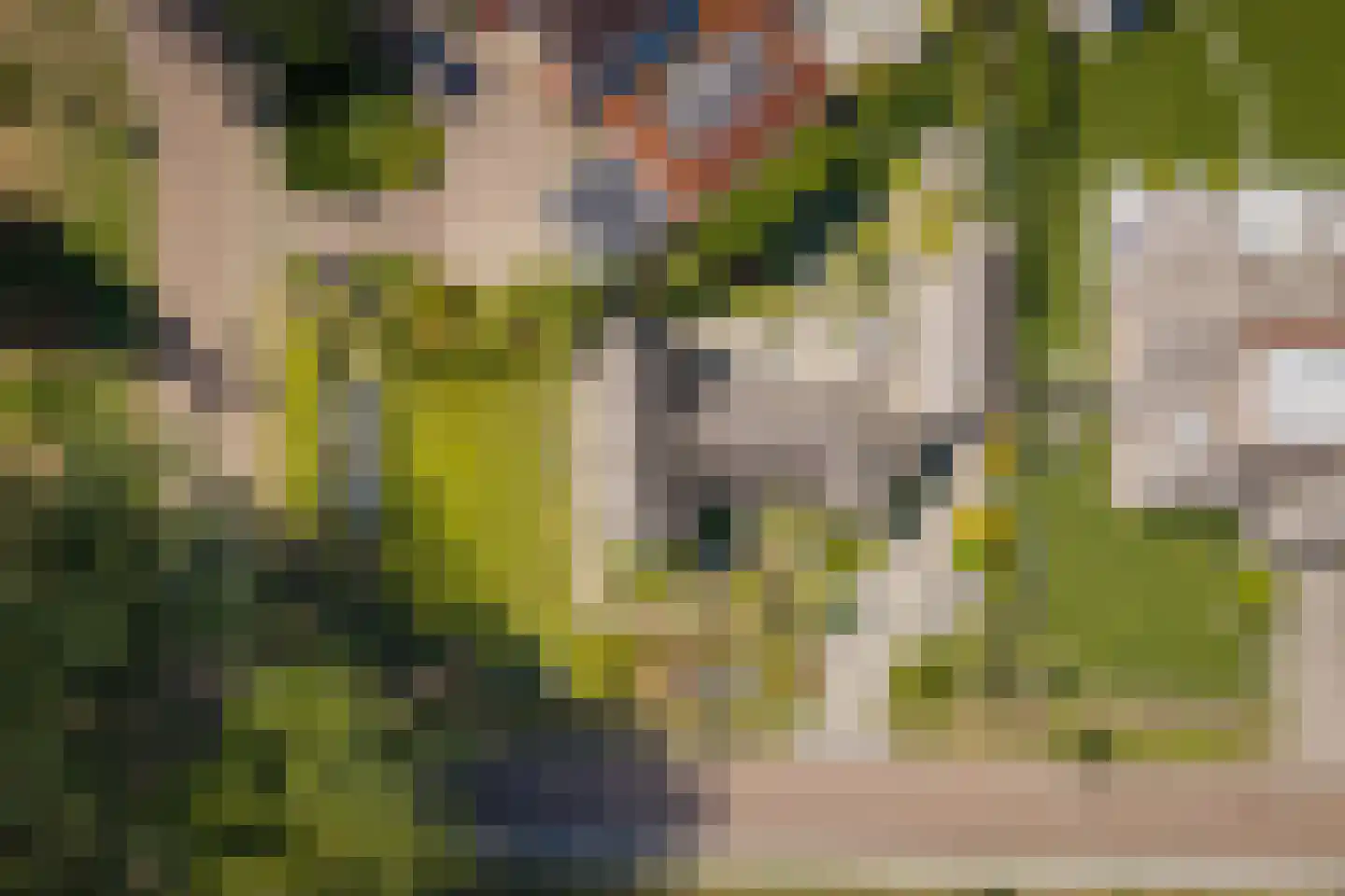 Esdoornlaan 1 Gorssel thumbnail 56