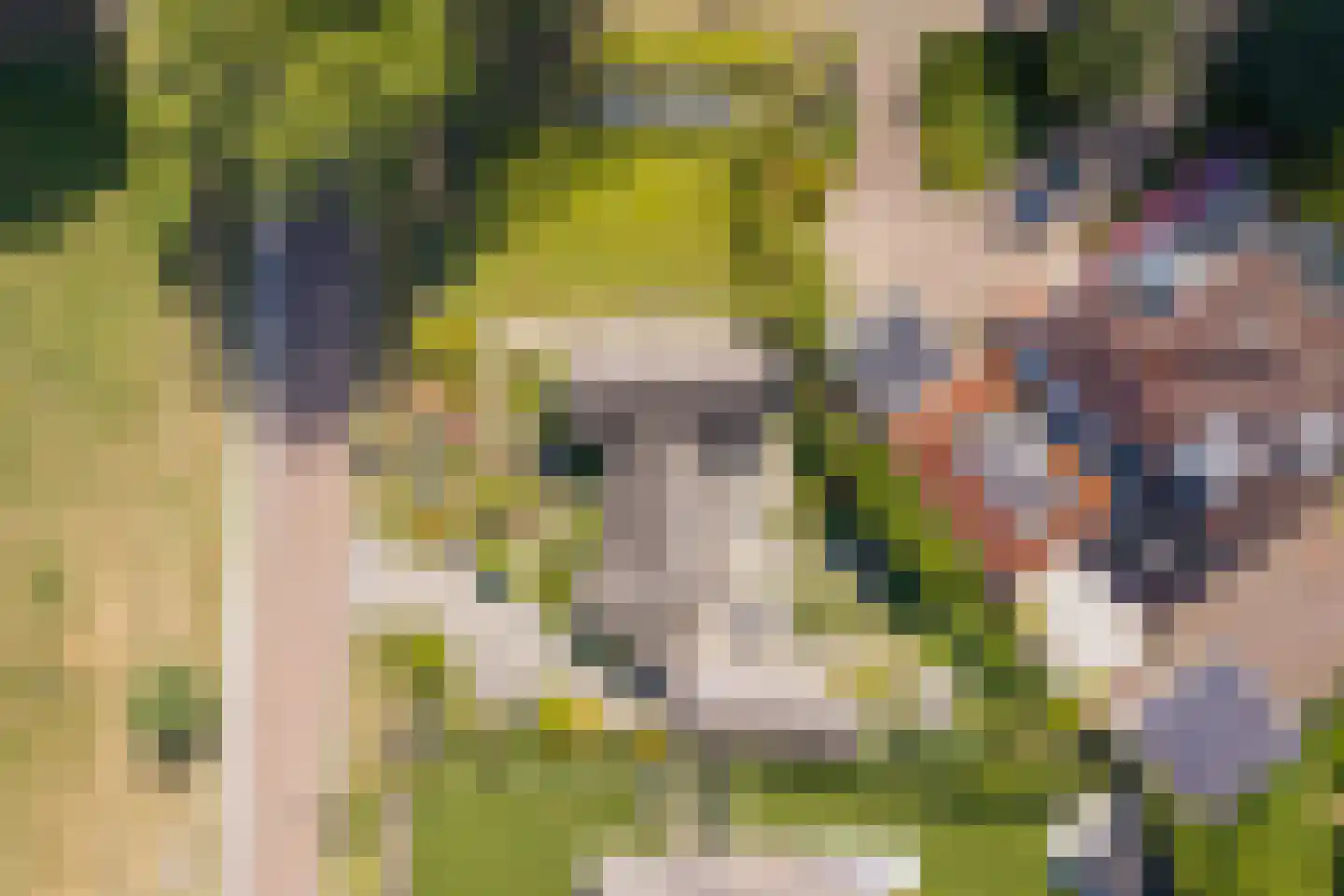 Esdoornlaan 1 Gorssel thumbnail 57