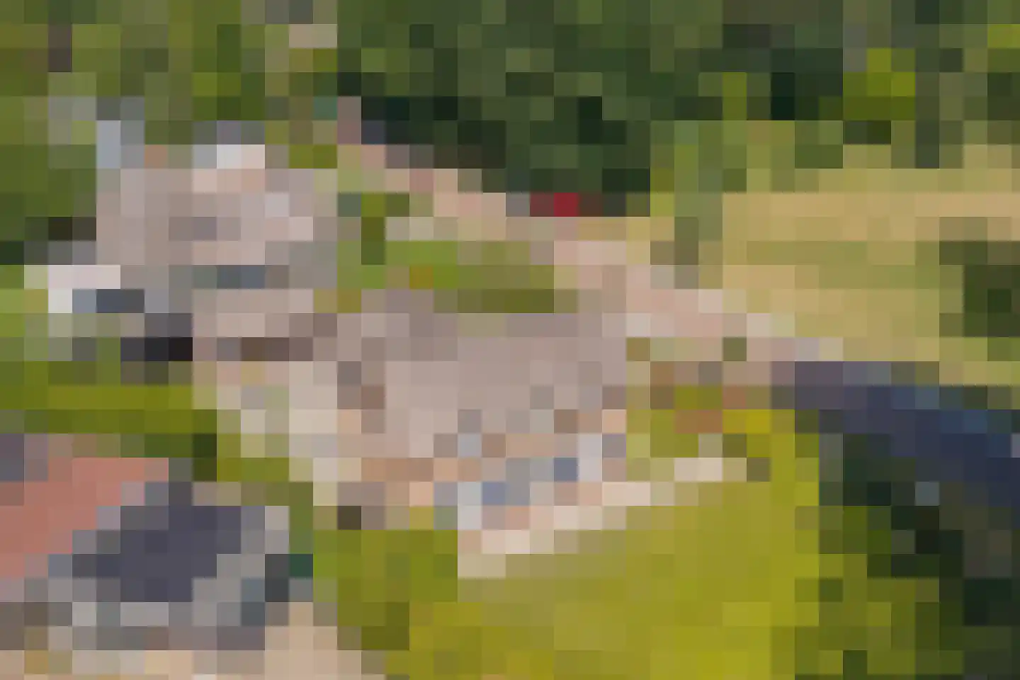 Esdoornlaan 1 Gorssel thumbnail 58
