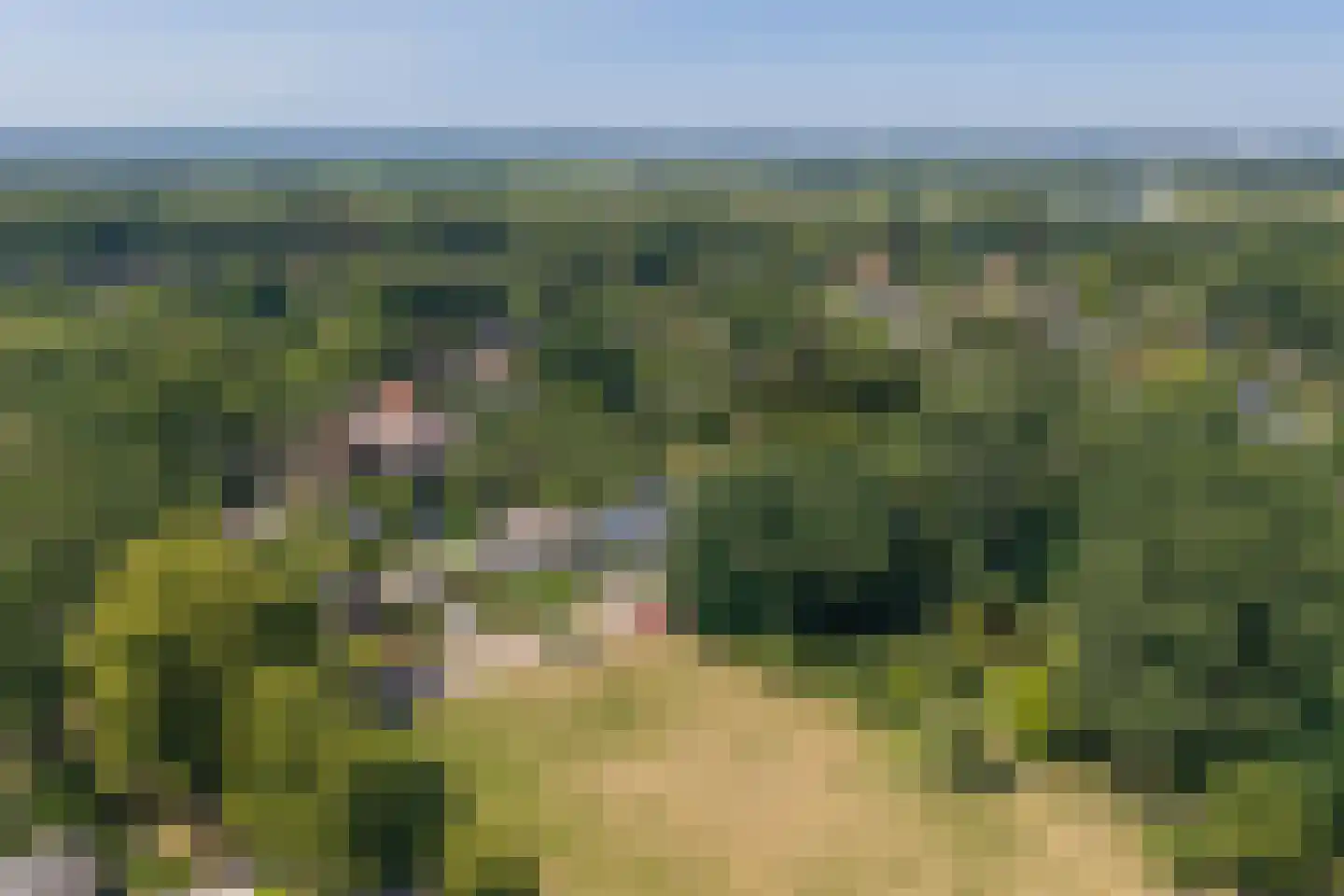 Esdoornlaan 1 Gorssel thumbnail 61