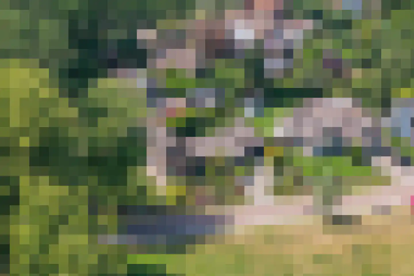 Esdoornlaan 1 Gorssel thumbnail 62