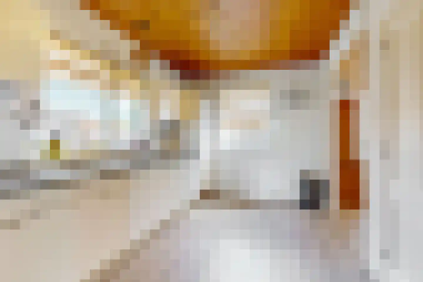 Esdoornlaan 1 Grootebroek thumbnail 12
