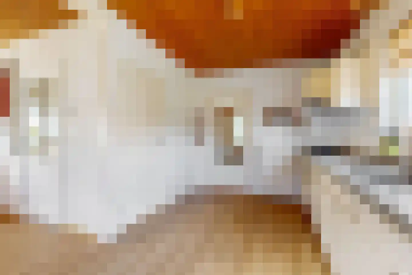 Esdoornlaan 1 Grootebroek thumbnail 13