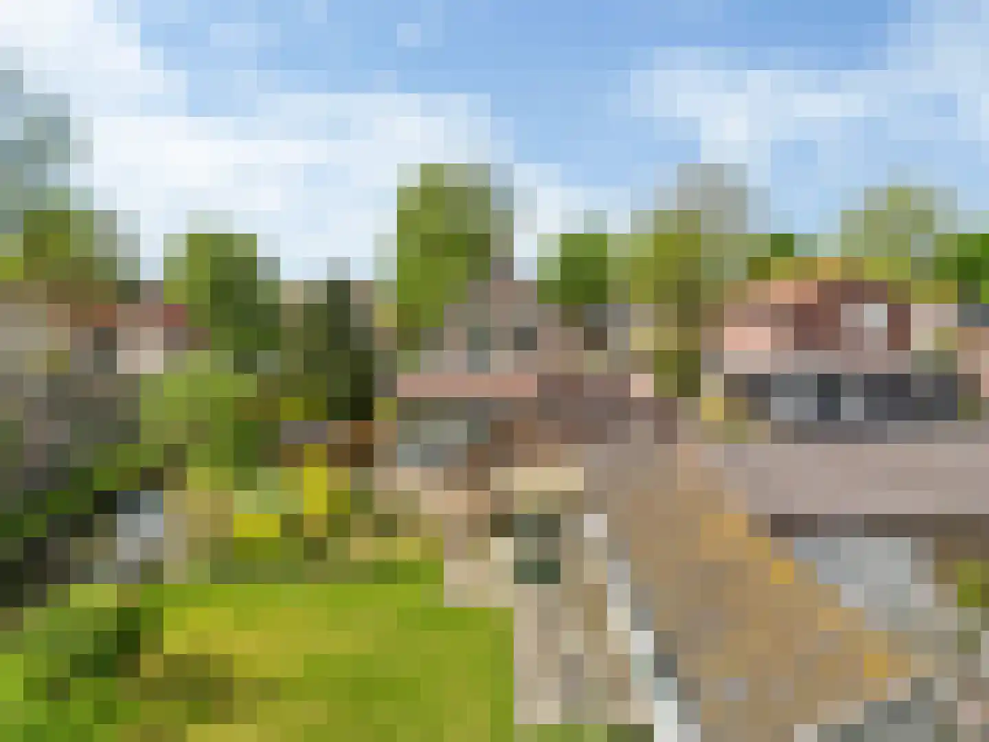 Esdoornlaan 1 Grootebroek foto 2
