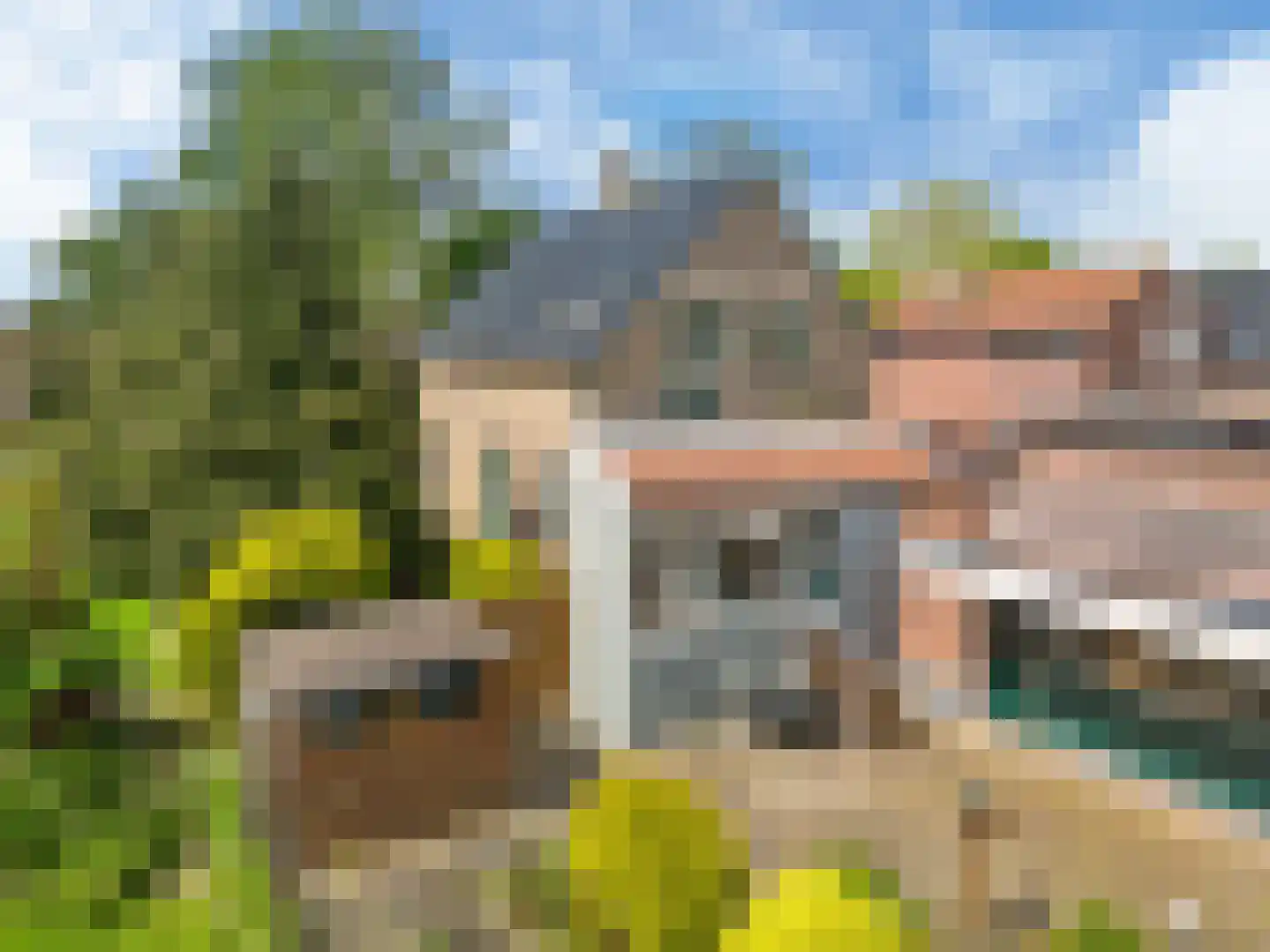 Esdoornlaan 1 Grootebroek thumbnail 40