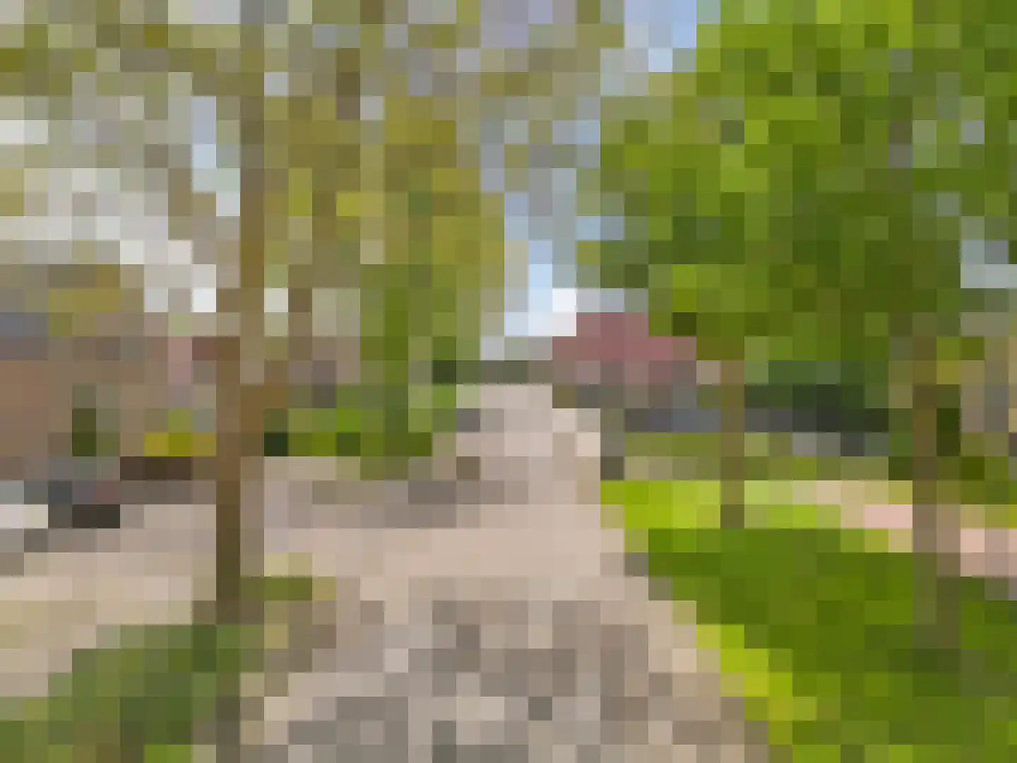 Esdoornlaan 1 Grootebroek thumbnail 47