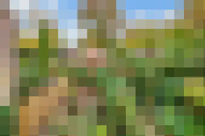 Esdoornlaan 10 Bilthoven thumbnail 17