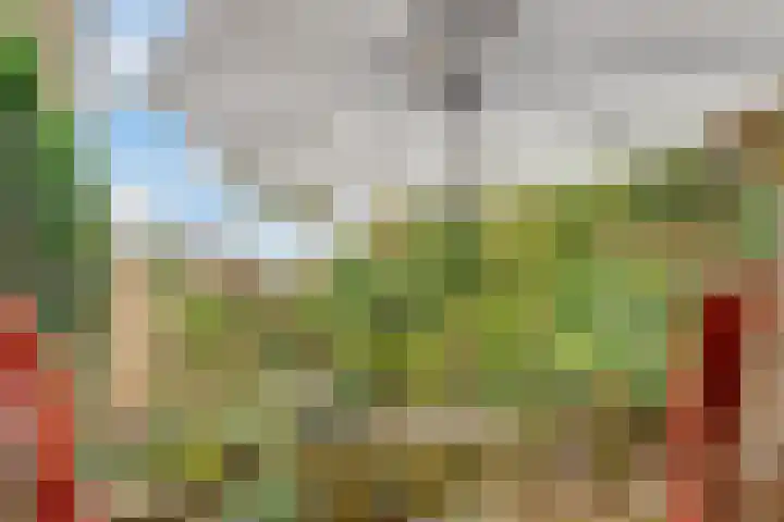 Esdoornlaan 10 Bilthoven thumbnail 23