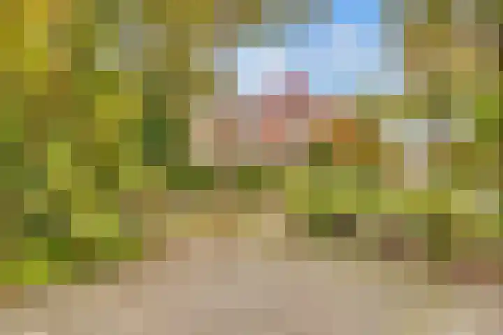 Esdoornlaan 10 Bilthoven thumbnail 24