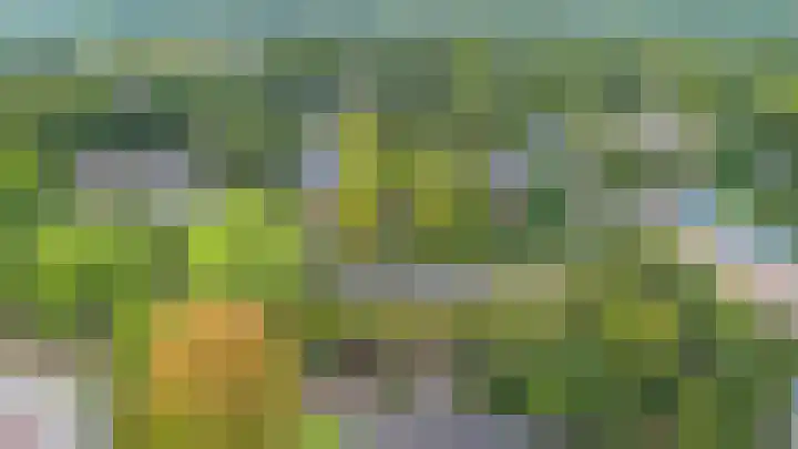 Esdoornlaan 10 Bilthoven thumbnail 25