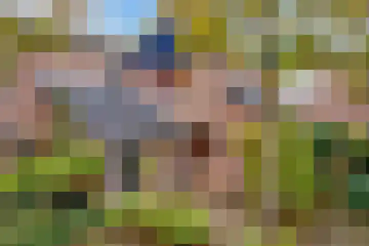 Esdoornlaan 10 Bilthoven thumbnail 26