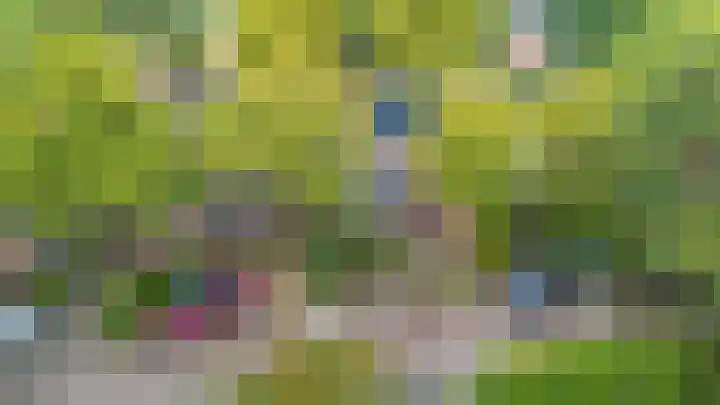 Esdoornlaan 10 Bilthoven thumbnail 27