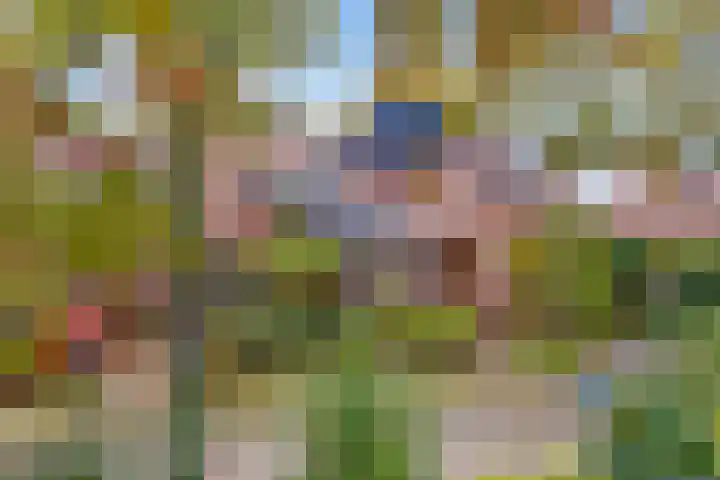 Esdoornlaan 10 Bilthoven thumbnail 28