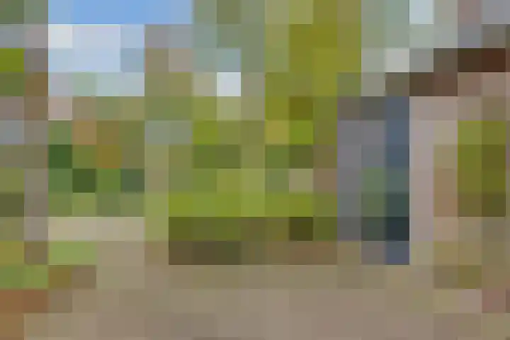 Esdoornlaan 10 Bilthoven thumbnail 30
