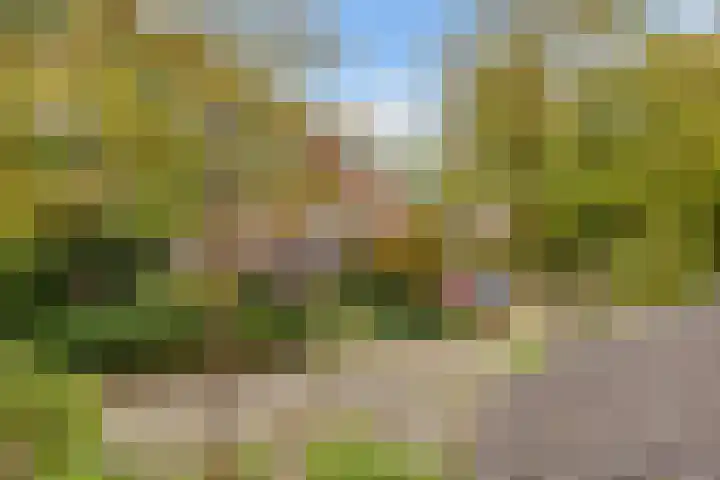 Esdoornlaan 10 Bilthoven thumbnail 32