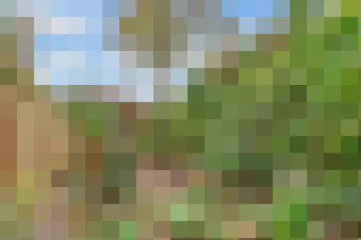 Esdoornlaan 10 Bilthoven thumbnail 33