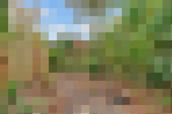 Esdoornlaan 10 Bilthoven thumbnail 34