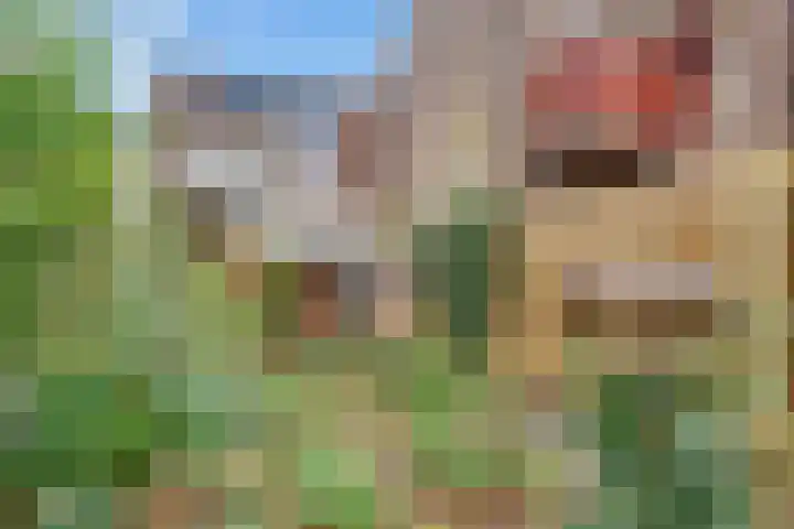 Esdoornlaan 10 Bilthoven thumbnail 35