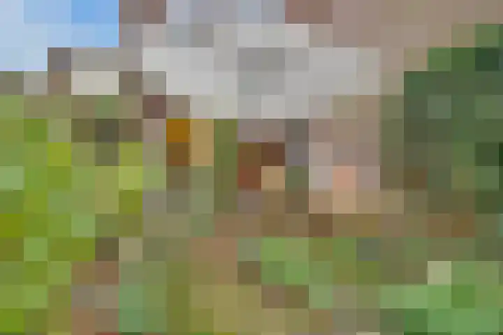 Esdoornlaan 10 Bilthoven thumbnail 36