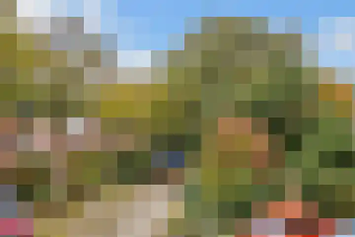Esdoornlaan 10 Bilthoven thumbnail 38
