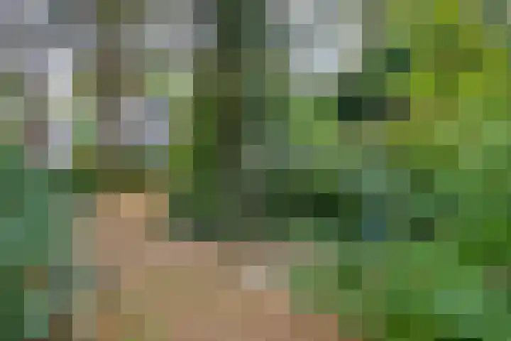 Esdoornlaan 10 Bilthoven thumbnail 41