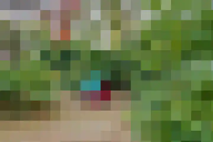 Esdoornlaan 10 Bilthoven thumbnail 42