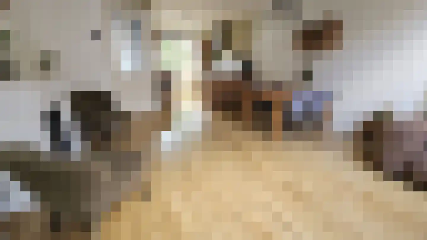 Esdoornlaan 10 Zaandijk thumbnail 10