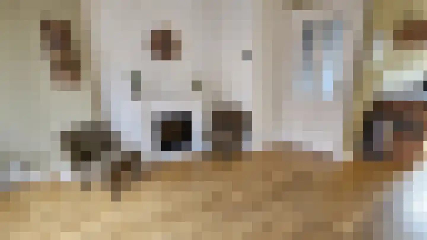 Esdoornlaan 10 Zaandijk thumbnail 11